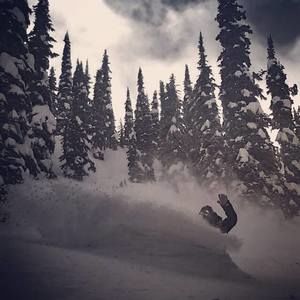 Meet your Posher, Roy